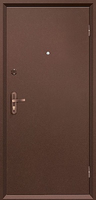 Металлическая дверь МАСТЕР 2 (161607)